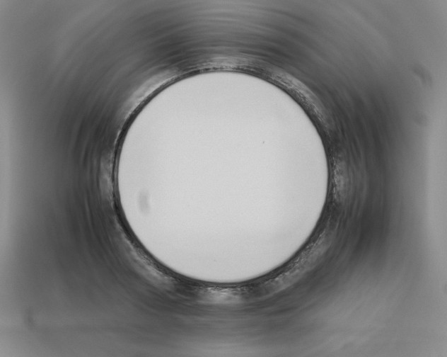 X0000112850794200910021250