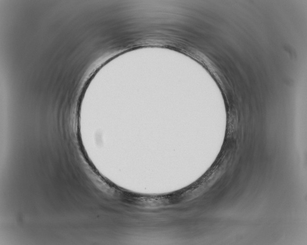 X0000112850795200910021250