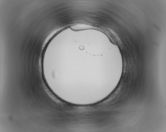 X0000112850796200910021250