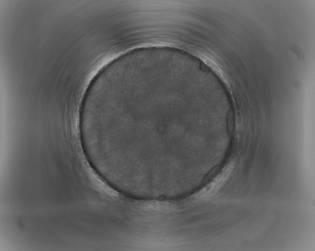 X0000112850797200910021250