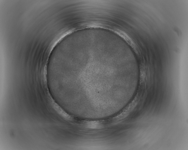 X0000112850798200910021250