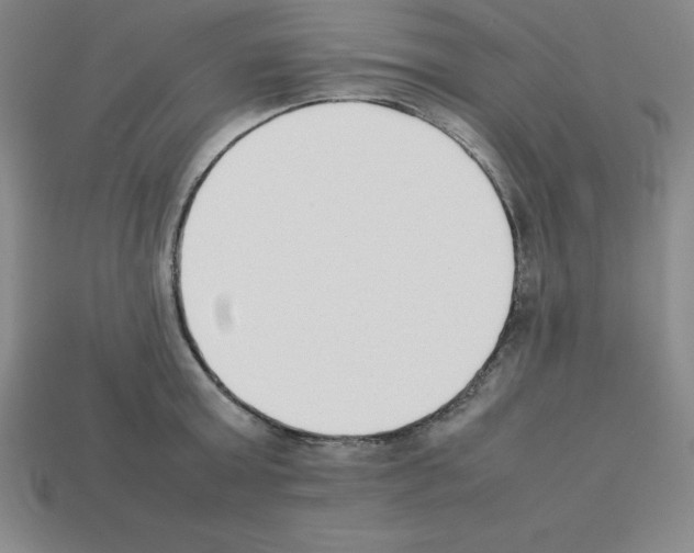 X0000112850803200910021250