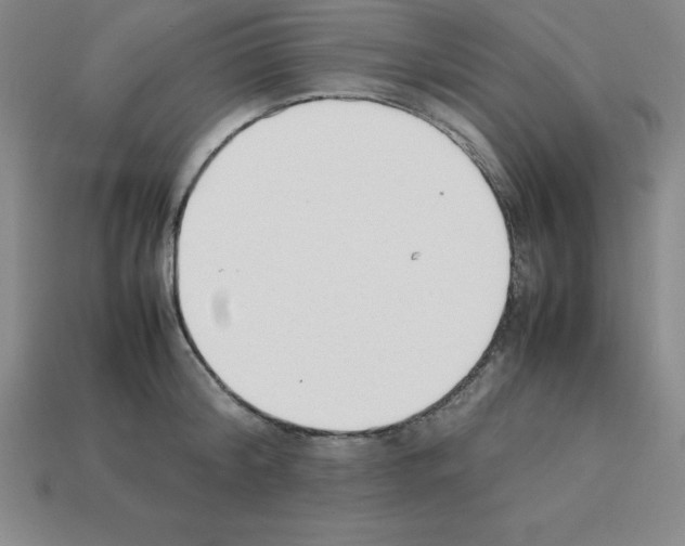 X0000112850804200910021250