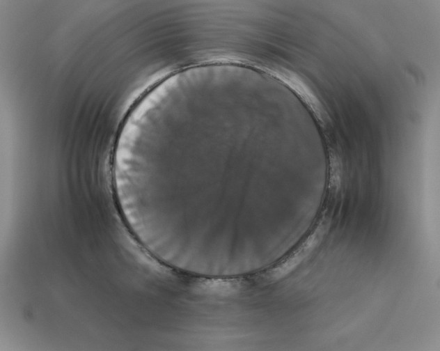 X0000112850806200910021250