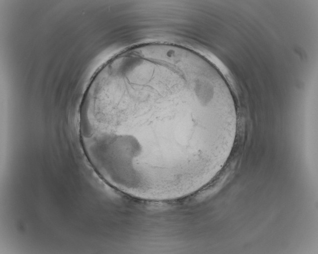 X0000112850807200910021250