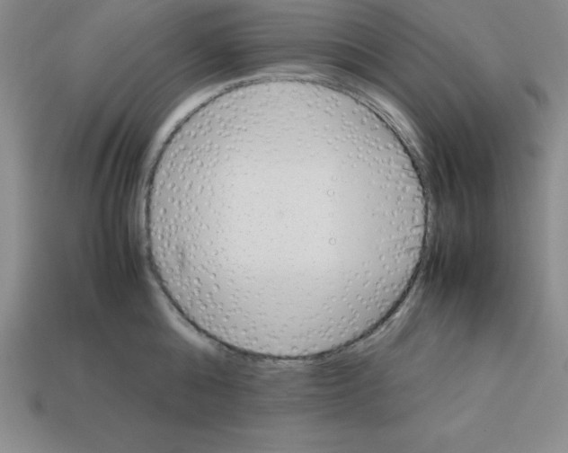 X0000112850808200910021250