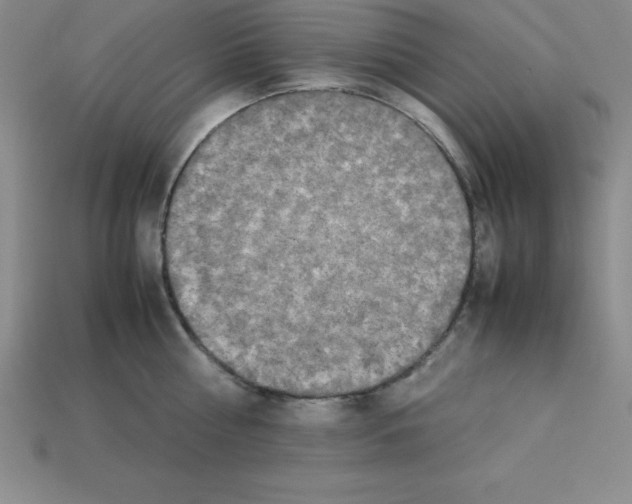 X0000112850810200910021250