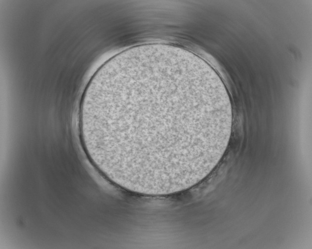 X0000112850811200910021250