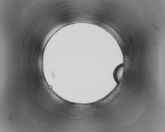 X0000112850812200910021250