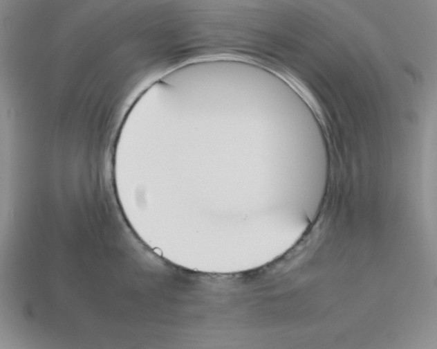 X0000112850813200910021250