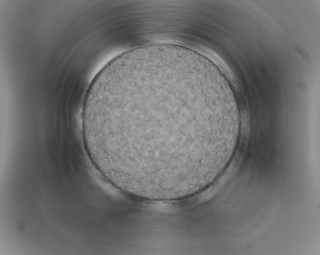 X0000112850814200910021250