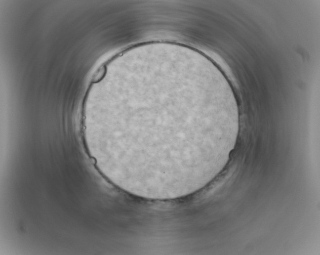 X0000112850815200910021250