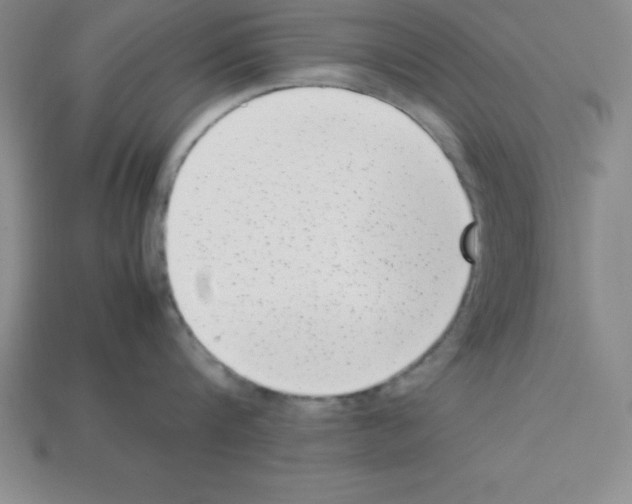 X0000112850816200910021250