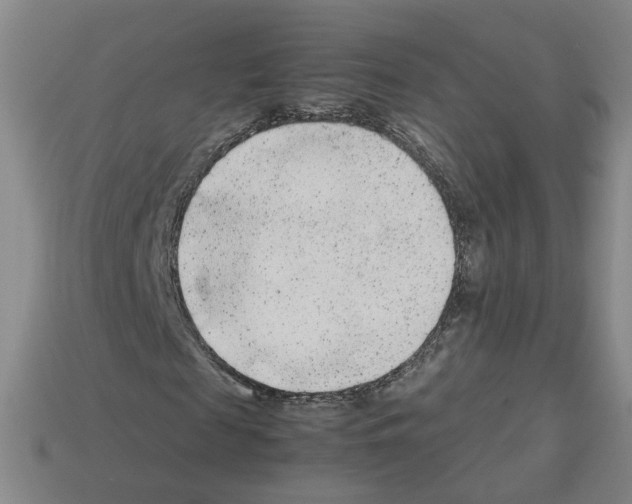 X0000112850817200910021249