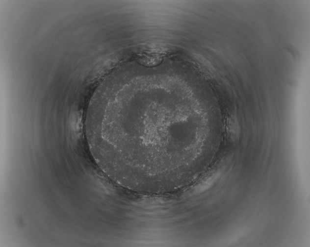 X0000112850818200910021249