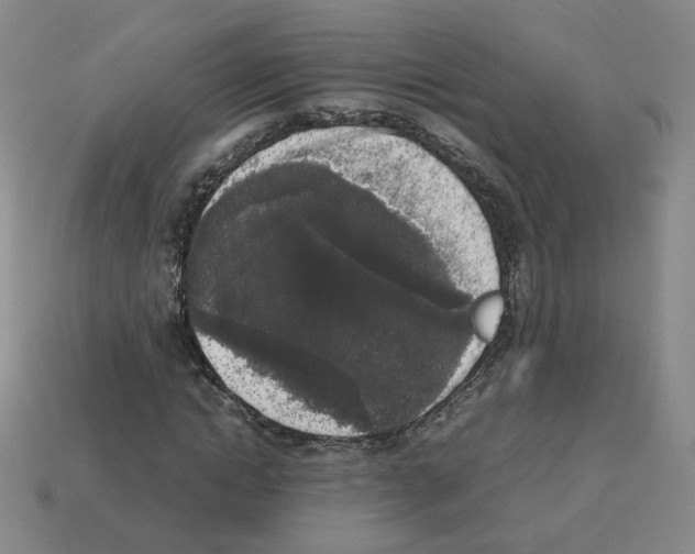 X0000112850822200910021249