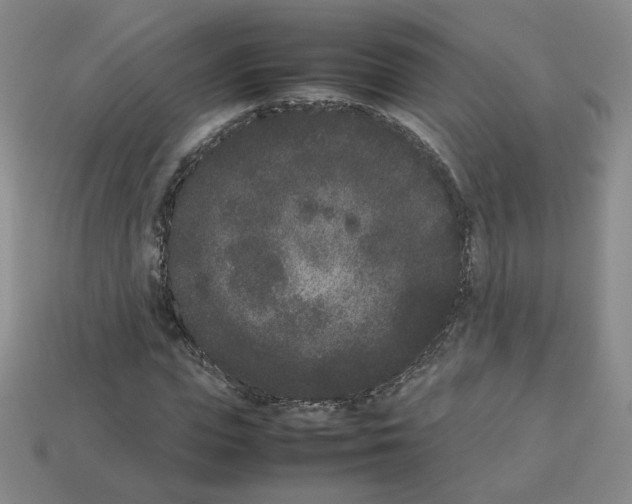 X0000112850823200910021249