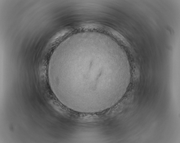 X0000112850824200910021249