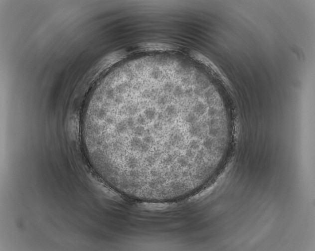 X0000112850825200910021249