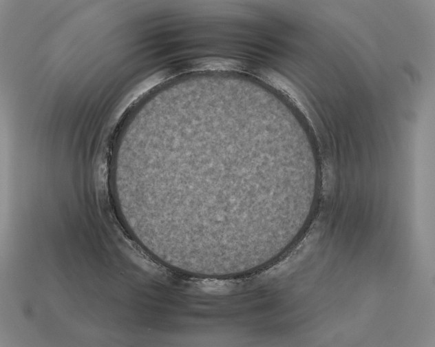 X0000112850827200910021249