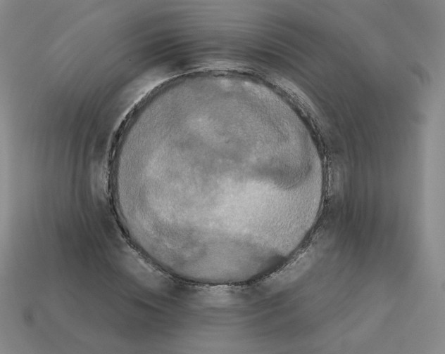 X0000112850828200910021249