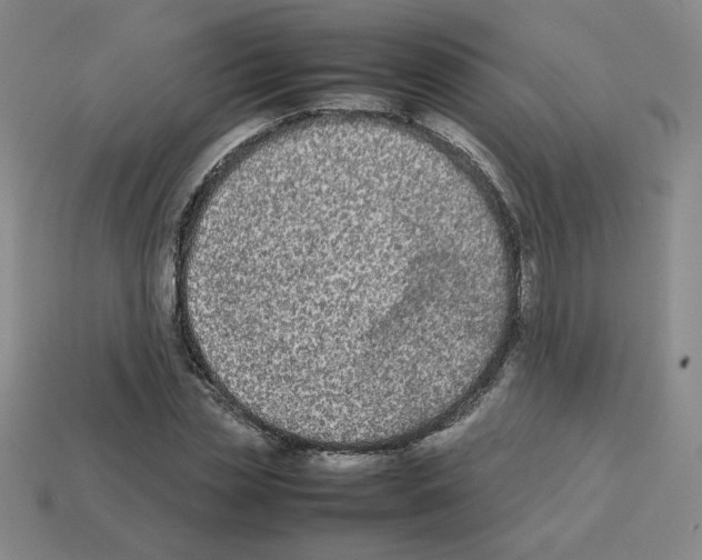 X0000112850829200910021249