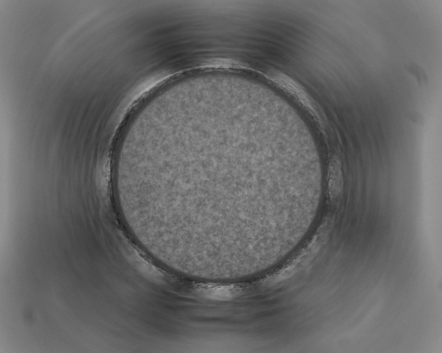 X0000112850831200910021249