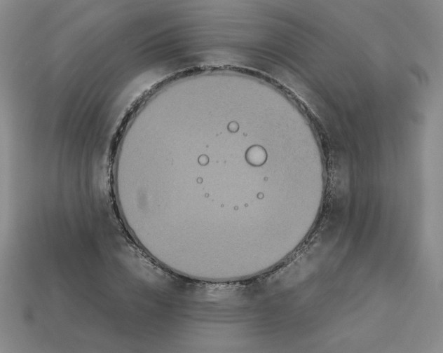 X0000112850832200910021249