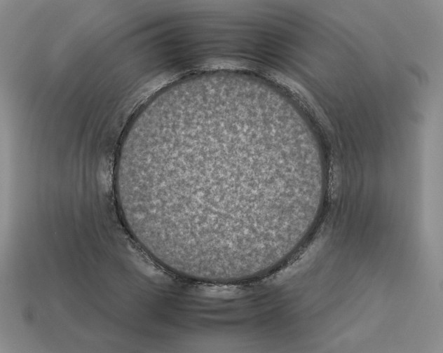 X0000112850833200910021249