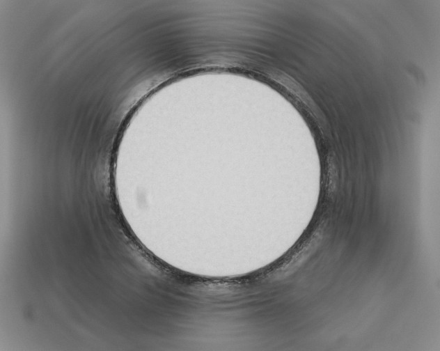 X0000112850834200910021249