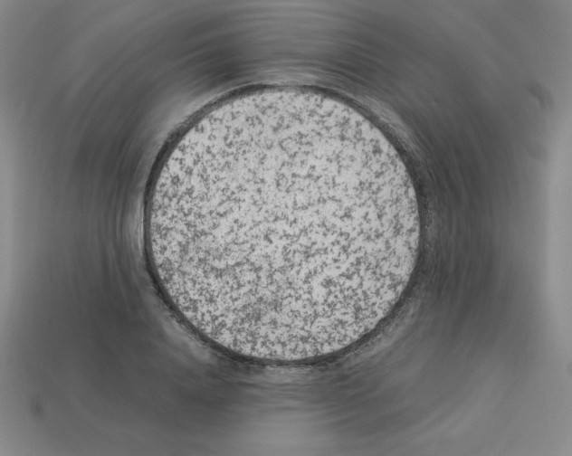 X0000112850840200910021250