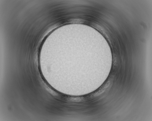 X0000112850843200910021250