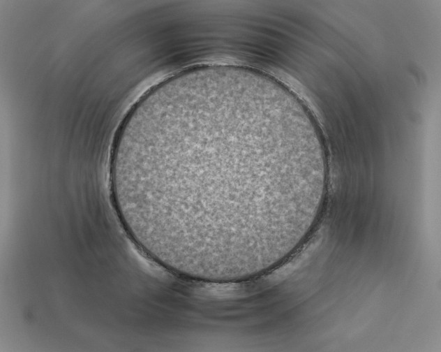 X0000112850845200910021250