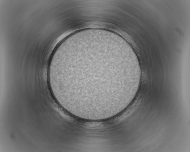 X0000112850846200910021250