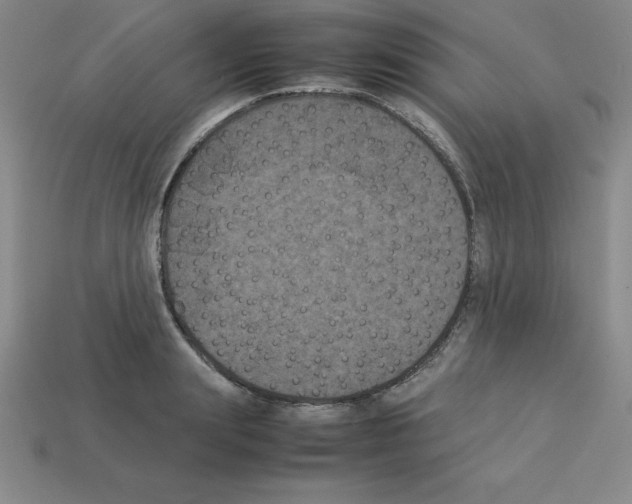 X0000112850847200910021250