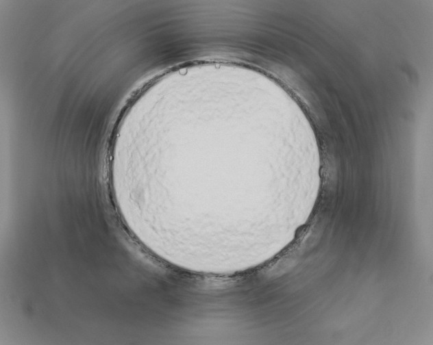 X0000112850848200910021250