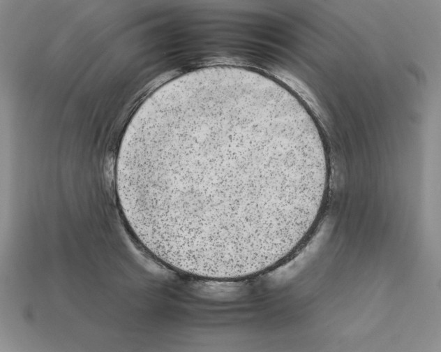 X0000112850849200910021250