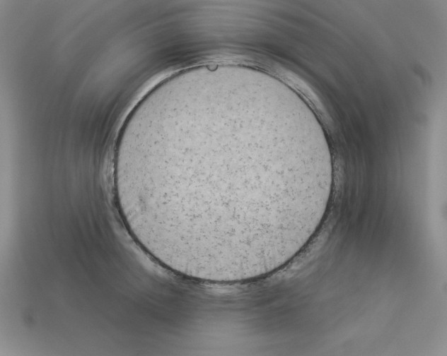 X0000112850852200910021250