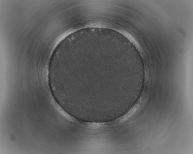 X0000112850854200910021250