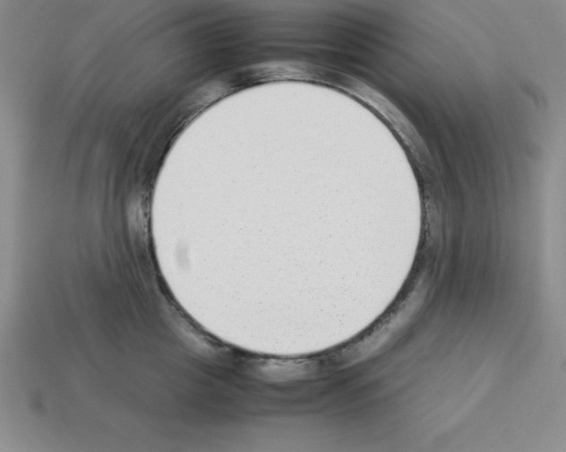 X0000112850857200910021250