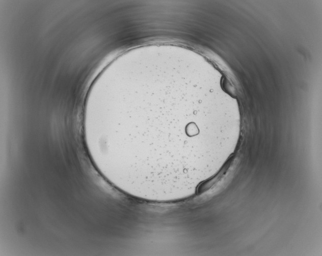 X0000112850860200910021250