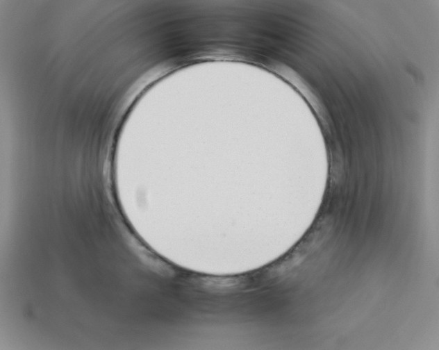 X0000112850861200910021250