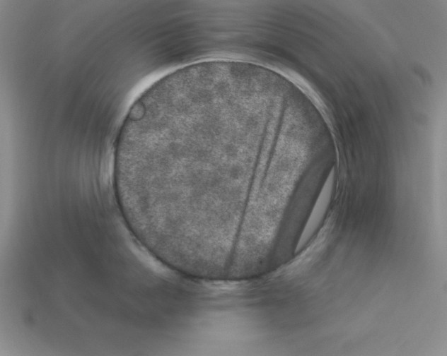 X0000112850862200910021250