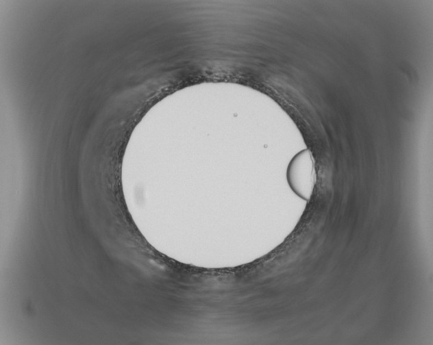 X0000112850865200910021249