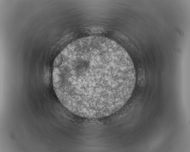 X0000112850866200910021249