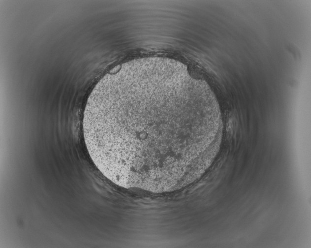 X0000112850868200910021249