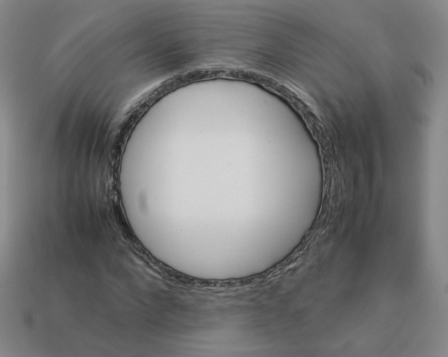 X0000112850872200910021249