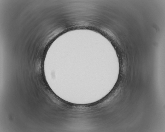 X0000112850873200910021249