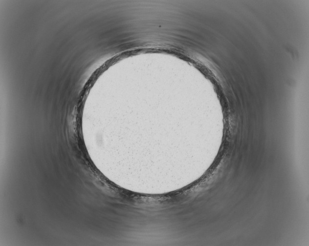 X0000112850875200910021249