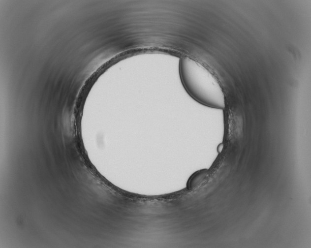 X0000112850876200910021249